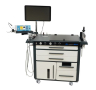 DS.AssistENT Europe